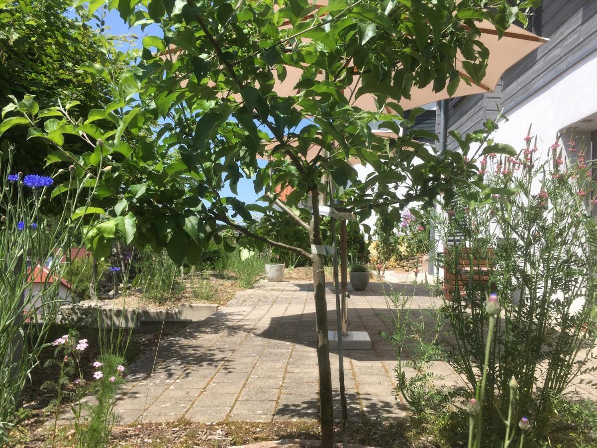 Sweetsuites 40A Lavendelhaus Mühlhausen Zewnętrze zdjęcie